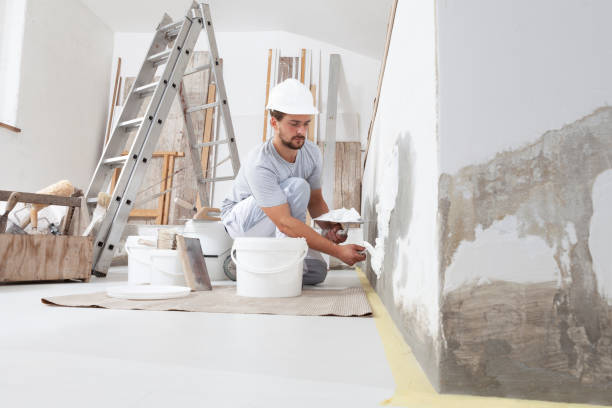 Best Wallpaper Removal and Painting  in West Swanzey, NH