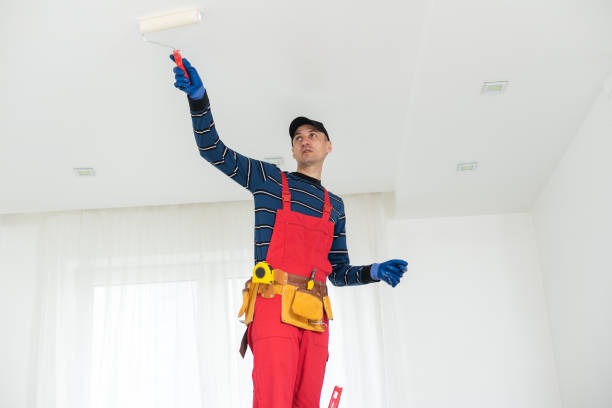 Best Ceiling Painting Services  in West Swanzey, NH